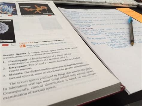Football team next term but i dont think they 25. healthy living. | Study hard, Study inspiration, Studying ...