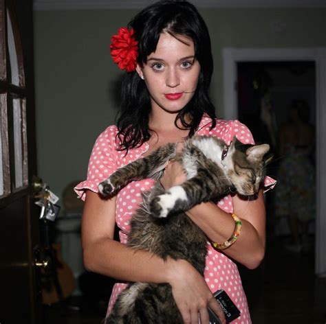 Katy Perry Left Heartbroken After Her Cat Kitty Purry Dies The Sun Carmon Report