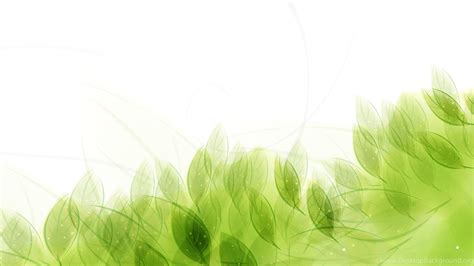 Nice Green Leaves Vector Wallpaper Green Backgrounds Pictures