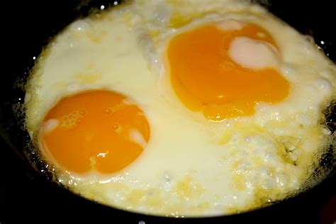 Sunny Side Up Fried Eggs Close Up Picture Free Photograph Photos