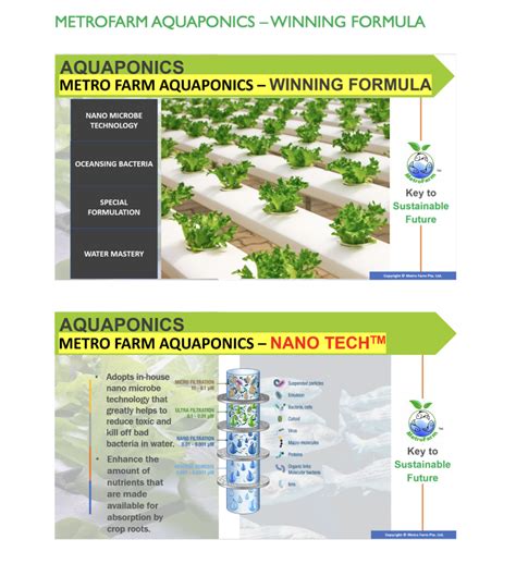 Benefits Of Aquaponics Metro Farm Pte Ltd