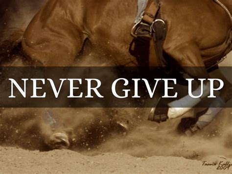 Whatever your work and whatever its worth, no matter how strong or clever. Bull Riding Quotes And Sayings. QuotesGram