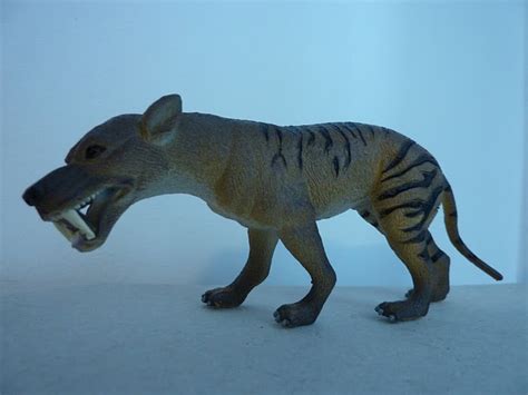Hyaenodon Aaa Dinosaur Toy Blog