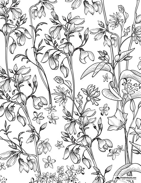 Coloring Pages for Spring // Free Downloads - Christianbook.com Blog