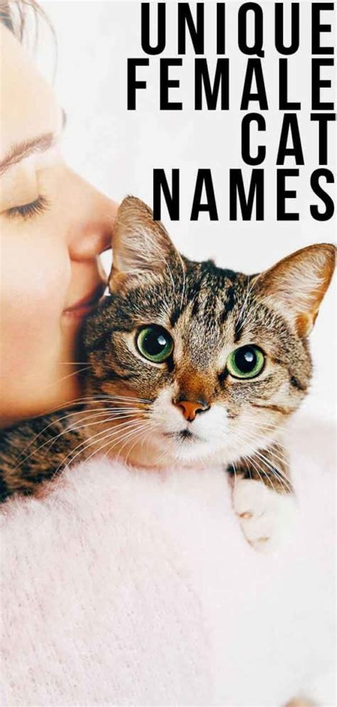 Unique Female Cat Names The Best Original Girl Kitty Names