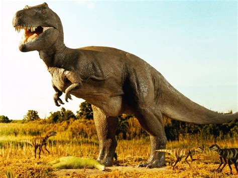 20 Interesting Facts About Dinosaurs Part Ii