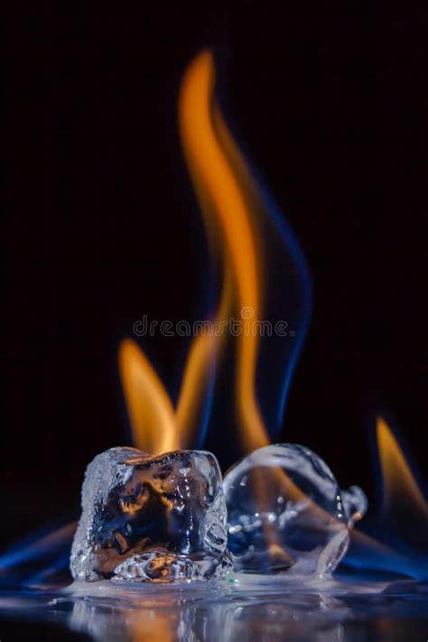 Fire And Ice Burning Ice Cubes Stock Photo Image Of Fire Flames