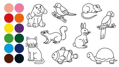 Animales Domesticos Aprender A Dibujar Y Colorear Para Niños Dibujos