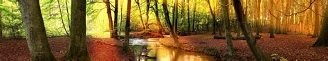 Autumn Triple Monitor Wallpapers Wallpaper Cave