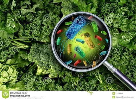 Bacteria And Germs On Vegetables Royalty Free Stock Photography