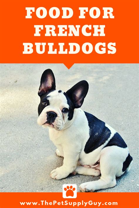 23 Best Wet Food For French Bulldog Picture Bleumoonproductions
