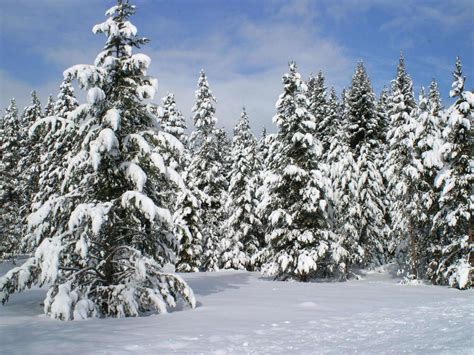 Het weerbeeld blijft aanhoudend koud. Sneeuw Wallpapers | HD Wallpapers