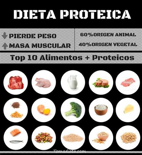 Dieta Proteica Para Adelgazar Sin Perder Masa Muscular Dieta Proteica