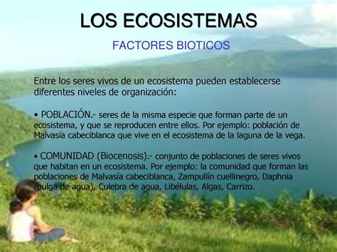 Ejemplos De Factores Bioticos De Un Ecosistema Ejemplo Interesante Site