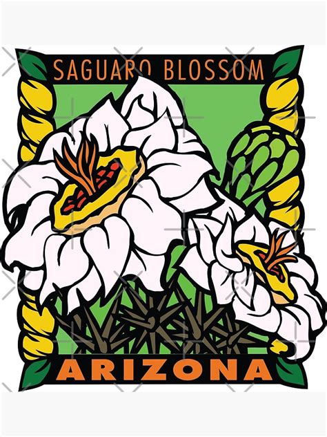 Arizona State Flower Saguaro Blosom Poster By Costeo Redbubble