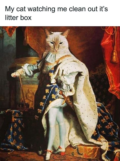 50 hilariously relatable classical art memes that might make you laugh bored panda