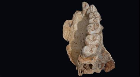 Oldest Human Remains Outside Africa Found In Cave Near Israels Haifa
