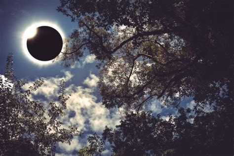 From a 'ring of fire' and the uk's biggest solar eclipse for years to a polar solar eclipse, 2021 is set to be a great year for eclipses of the sun and moon. Saison des éclipses 2021 : Quels sont ses effets et son ...