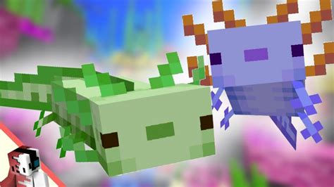 Minecraft Axolotl Hidden Features Youtube