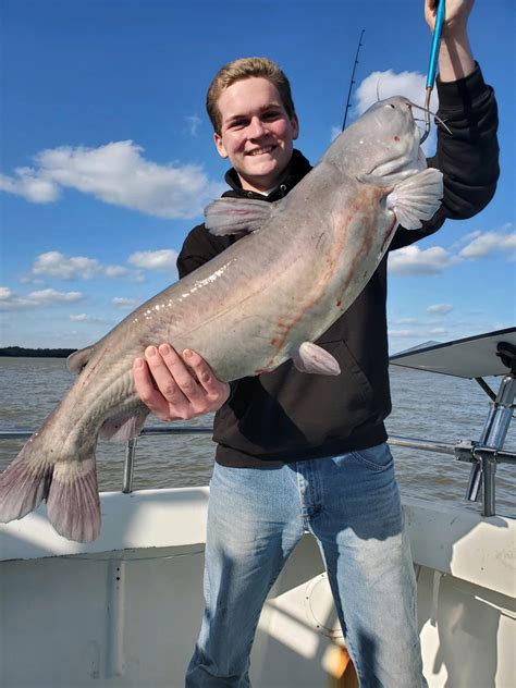 Blue Catfish Fishing Charters On The Potomac Miss Susie Charters