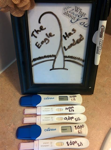 Creative Pregnancy Announcement Bored Panda