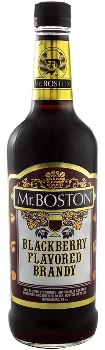 Mr Boston Blackberry Brandy 1 L Bremers Wine And Liquor
