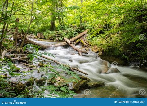 Water Cascades Over Rocks And Logs In Picturesque Stream Stock Image
