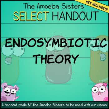 All of the offspring of the first cross have the. Endosymbiotic Theory- SELECT Handout + Answer Key by ...