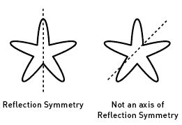 When a figure can be mapped (folded or flipped) onto itself by a reflection, then the figure has a line of symmetry. Visual Arts: Shape. Symmetry