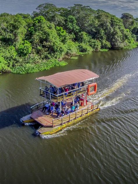 Tudo Sobre O Pantanal Bonitour Agência De Viagens De Ecoturismo