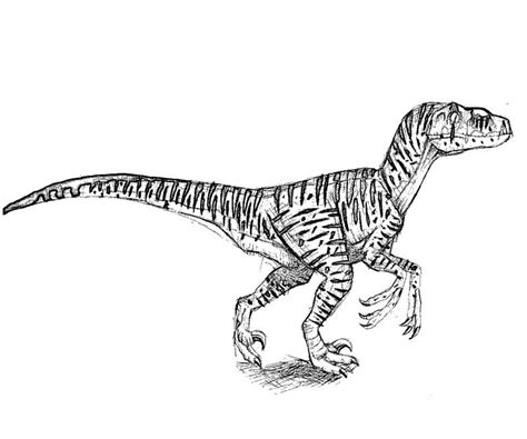 The best free raptor coloring page images download from 152. Draw Samples: Blue Jurassic World Coloring Page