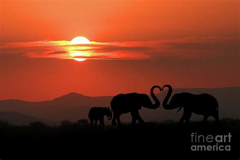 Beautiful Silhouette Of African Elephants At Sunset Photograph By