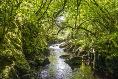 Reservas Naturales Highland Titles Scottish Conservation
