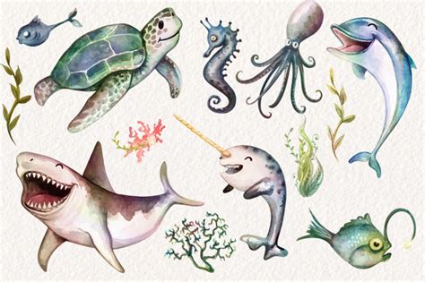 Watercolor Sea Life Graphics By Dapper Dudell Thehungryjpeg