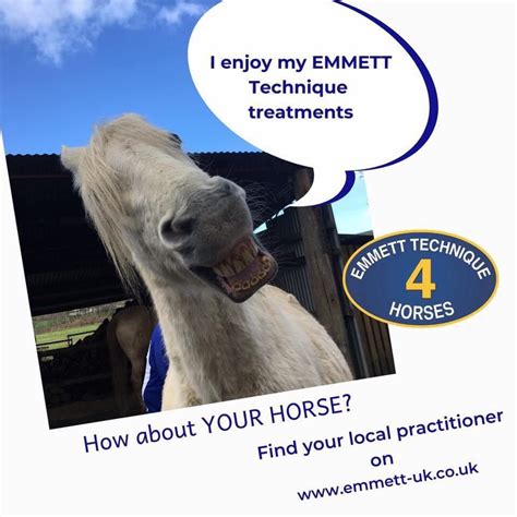 Emmett For Horses Emmett Technique Emmett Technique Emmett Therapy