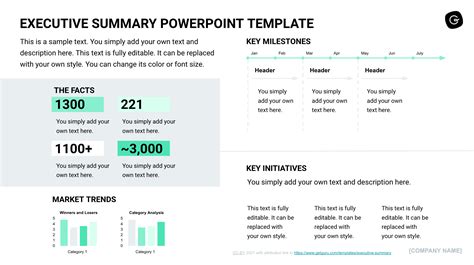 Free Executive Summary Template Pdf Masterful Examples 2022