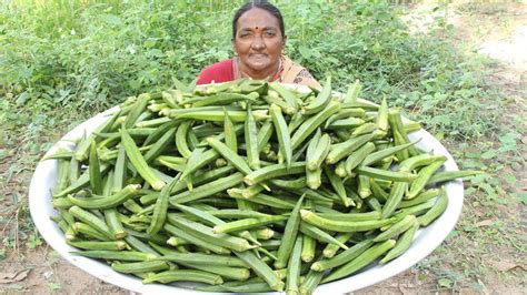 Homemade lady fingers recipe a nice lady finger recipe to try ! Lady's Finger Recipe || Spicy Lady's Finger Fry Recipe By ...