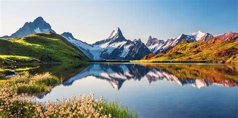 The population of switzerland was estimated at 7,262,372 in july 2000; Surprising ideas for more biodiversity in Switzerland ...