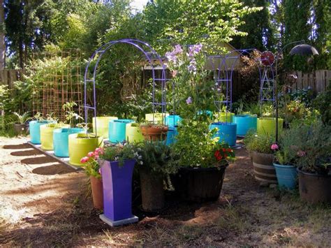The 55 Gallon Drum Garden We Have The Drums Now What Do We Do