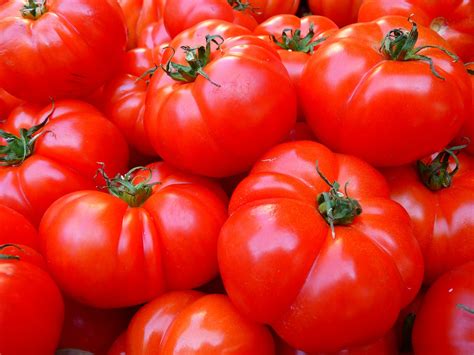 Quelles sont toutes les variétés de tomates ? – Le-blog-de-la-maison.org