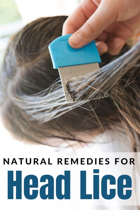 Natural Remedies For Head Lice The Centsable Shoppin