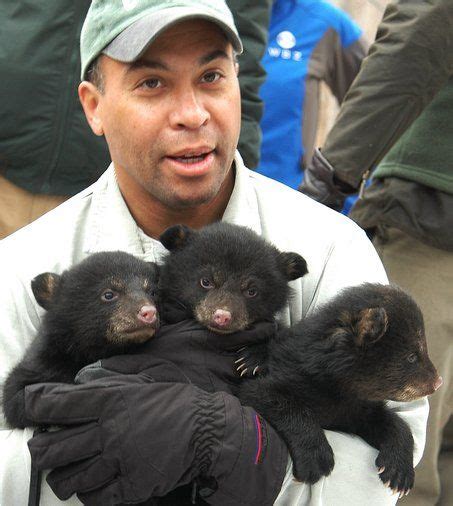 Mapoliwithanimals Governor Deval Patrick With Three Bear Cubs Omg