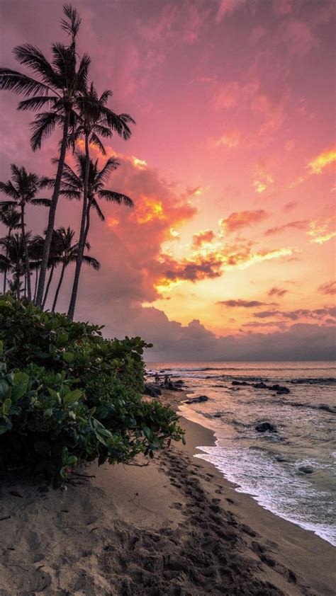 Pin By Savannah Moreau On Aesthetics Hawaii Vacation Sunset Amazing