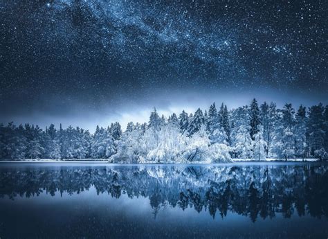 Обои Зимний лес у озера под красивым звездным небом на рабочий стол