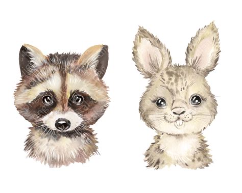 Woodland Animals Watercolor Clipart Forest Animals By Evgeniia