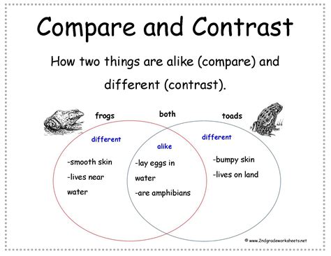 Comparing And Contrasting Worksheets