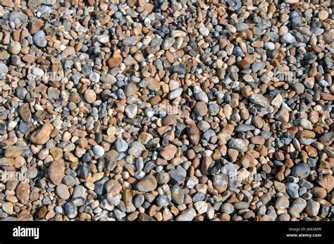 Coarse Model Hi Res Stock Photography And Images Alamy