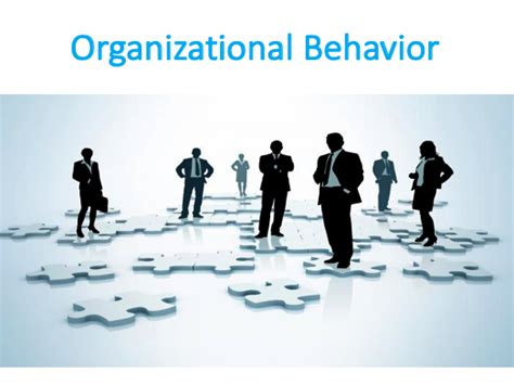Understanding And Managing Individual Behavior Organizational Behavior