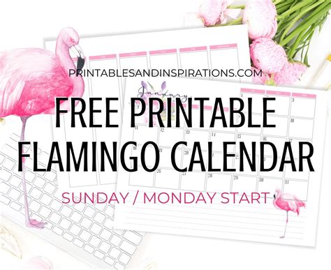 2020 2021 Flamingo Calendar Weekly Planner Free Printable