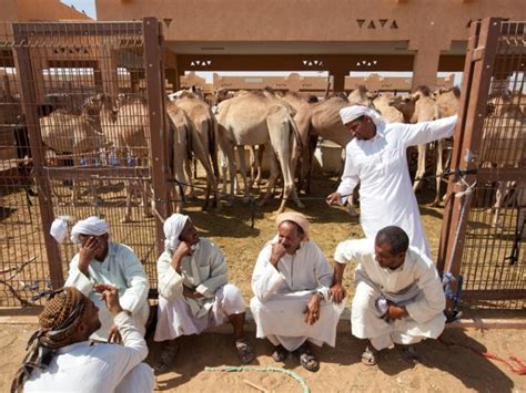 It's a place for visitors as well as residents. Visite guidée d' Al Ain aux Emirats Arabes Unis